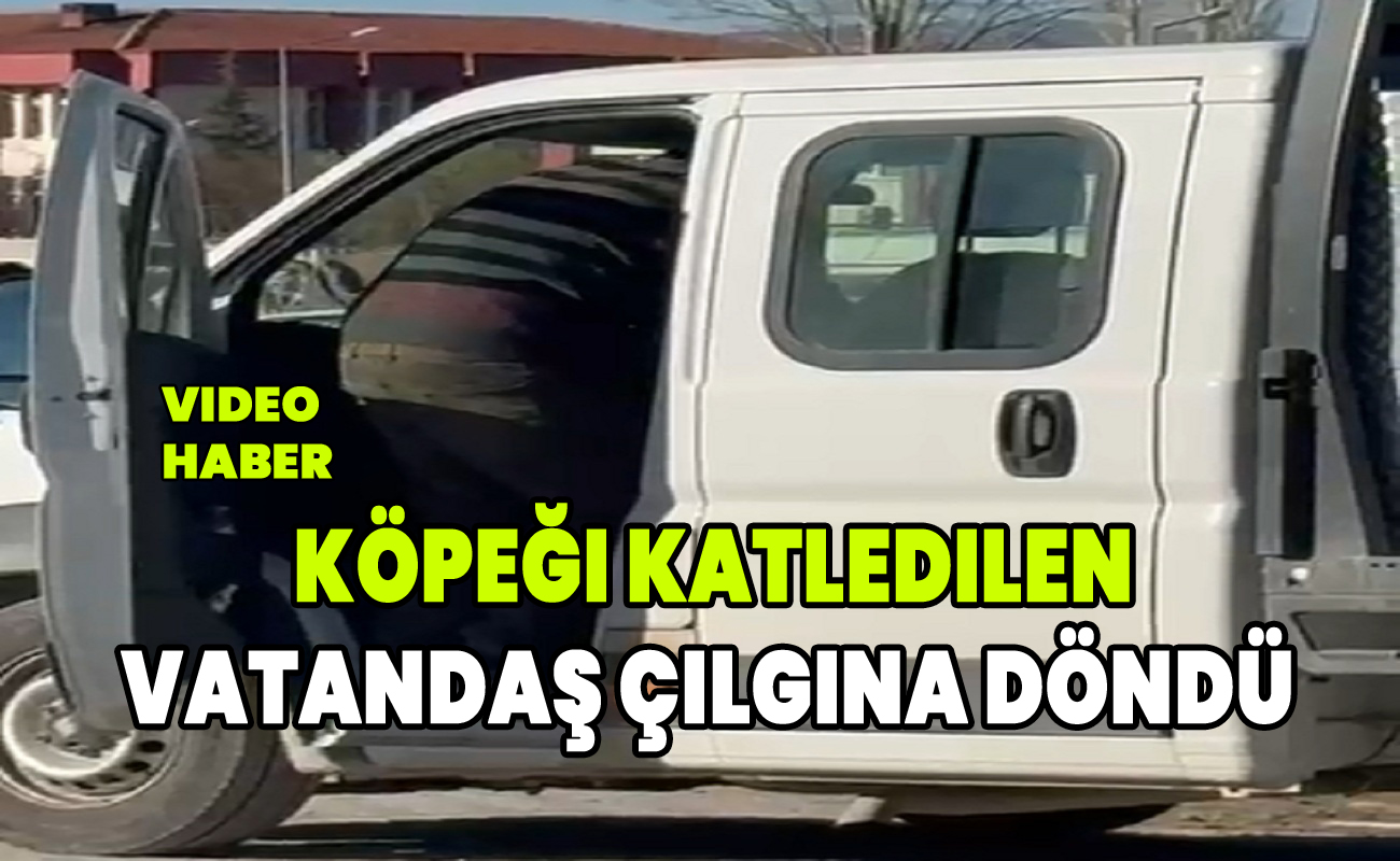 Köpeği katledilen vatandaş çılgına döndü